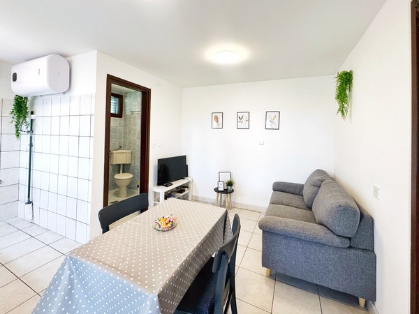 Apartment Vanja